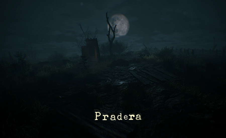 Pradera